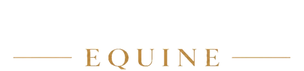 Carnosine Equine
